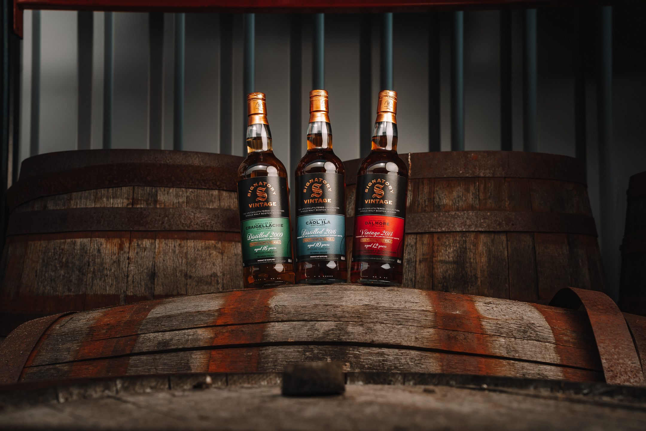 Craigellachie 2009-2026 / 16 Jahre 1st fill Bourbon Barrels / Signatory un-chill / 46% 0,7l