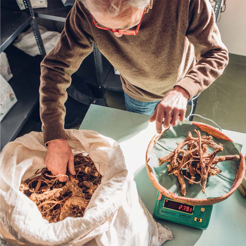 Bordiga Elisir Eukalyptus und Minze, 18% Vol. 0,5 ltr. Likör aus Italien